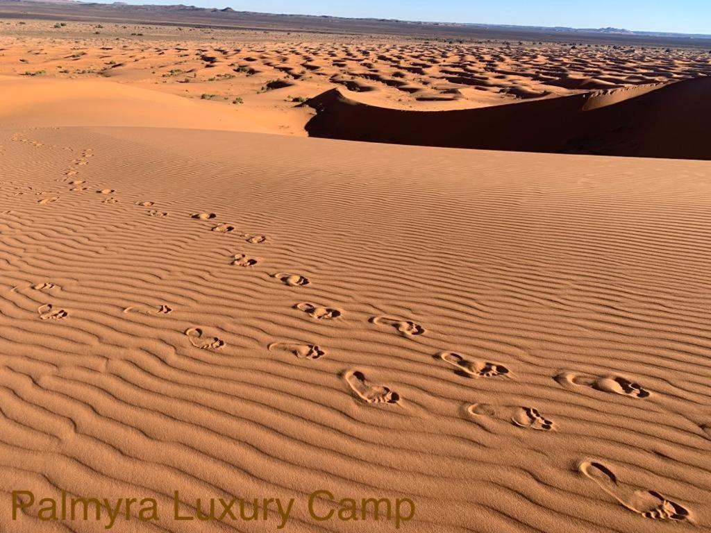 Palmyra Luxury Camp Hotel เมอร์ซูกา ภายนอก รูปภาพ