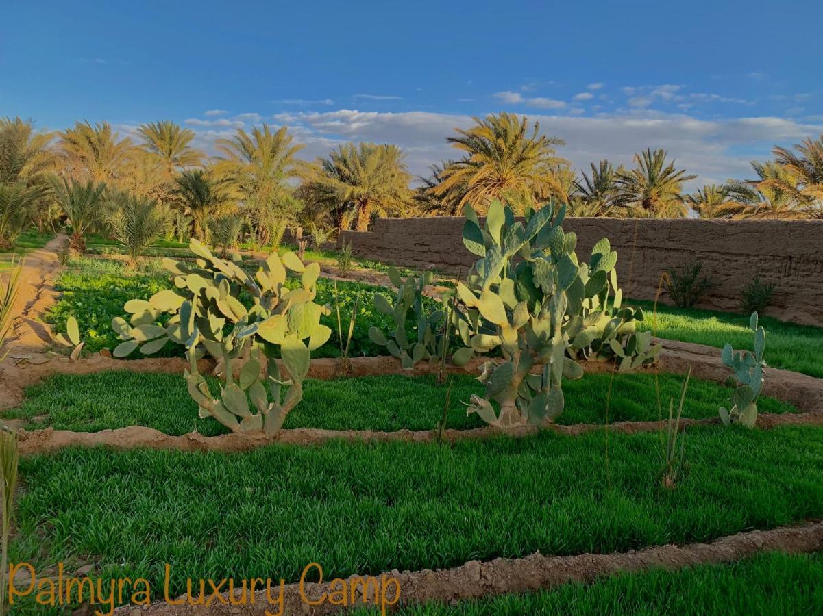 Palmyra Luxury Camp Hotel เมอร์ซูกา ภายนอก รูปภาพ